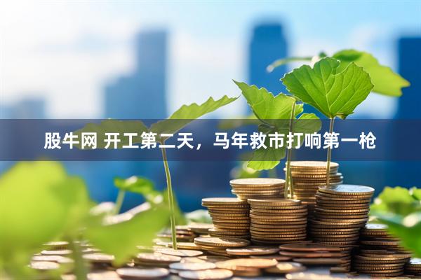 股牛网 开工第二天，马年救市打响第一枪
