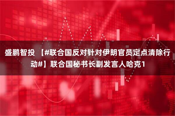 盛鹏智投 【#联合国反对针对伊朗官员定点清除行动#】联合国秘书长副发言人哈克1