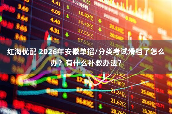 红海优配 2026年安徽单招/分类考试滑档了怎么办？有什么补救办法？