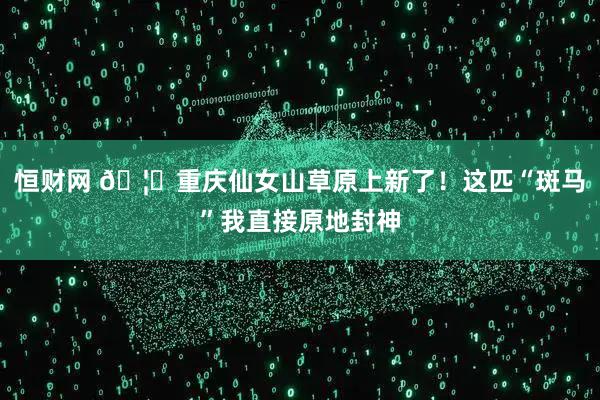 恒财网 🦓重庆仙女山草原上新了！这匹“斑马”我直接原地封神