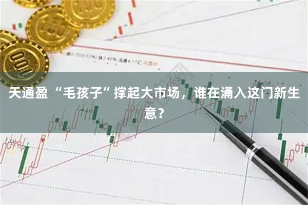 天通盈 “毛孩子”撑起大市场，谁在涌入这门新生意？