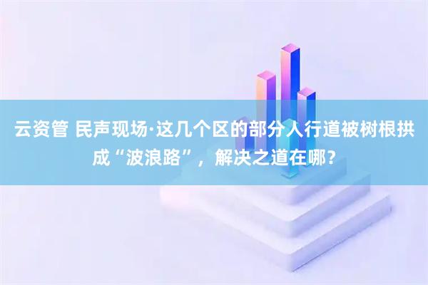 云资管 民声现场·这几个区的部分人行道被树根拱成“波浪路”，解决之道在哪？