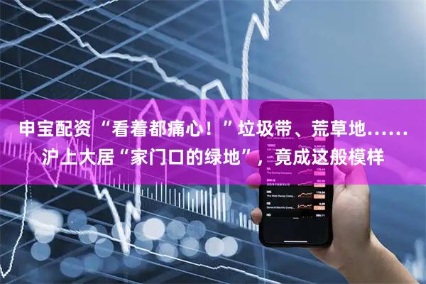 申宝配资 “看着都痛心！”垃圾带、荒草地……沪上大居“家门口的绿地”，竟成这般模样