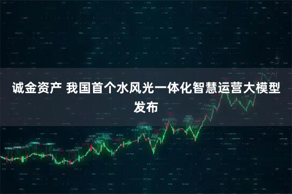 诚金资产 我国首个水风光一体化智慧运营大模型发布