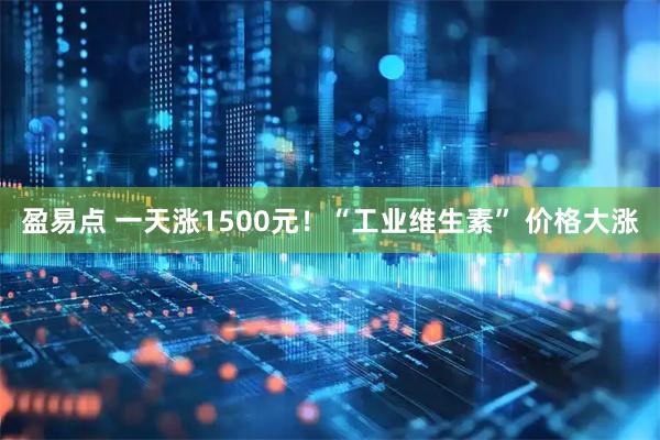 盈易点 一天涨1500元!“工业维生素” 价格大涨