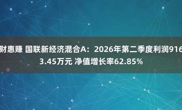 财惠赚 国联新经济混合A：2026年第二季度利润9163.45万元 净值增长率62.85%